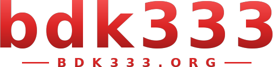 bdk333 logo